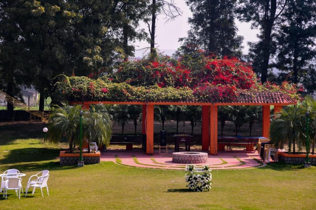 Green Orchid Farms I Swimming Pool I Wedding I Party Villa Gurgaon Buitenkant foto